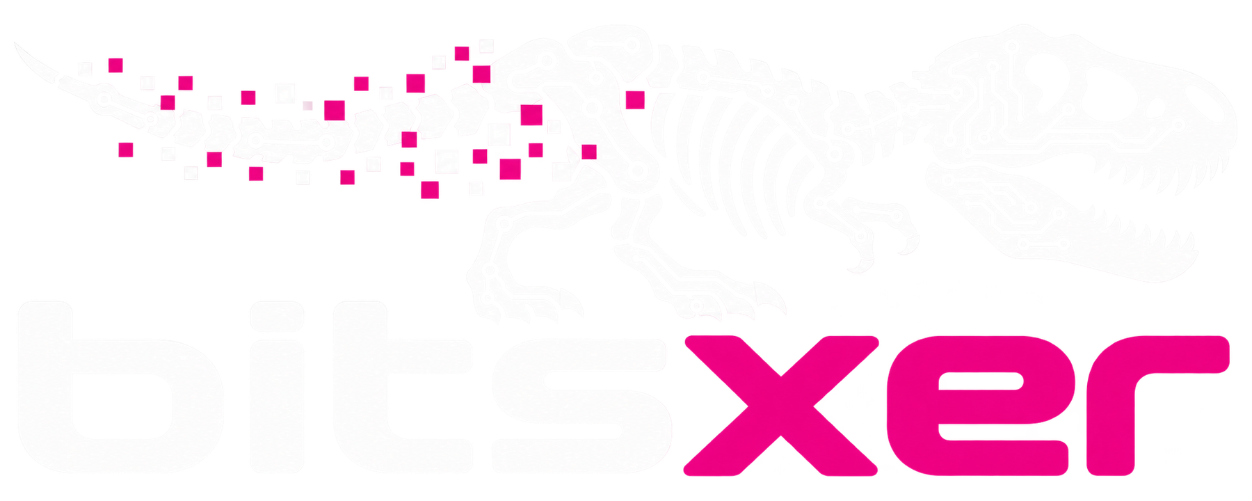 Bitsxer